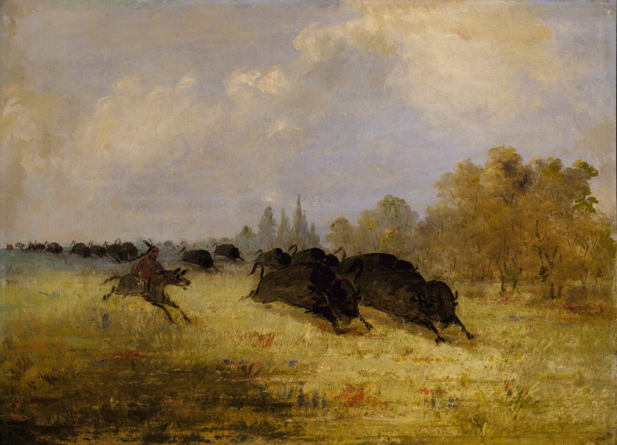  av George Catlin