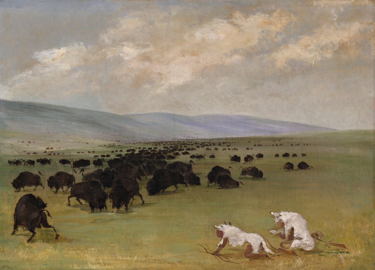  av George Catlin