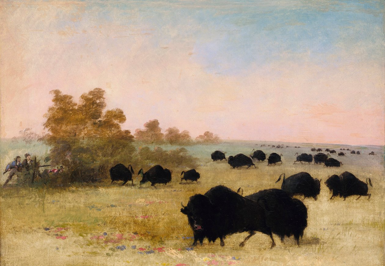  av George Catlin