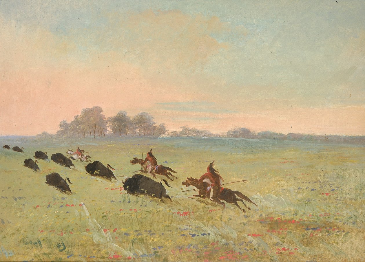  av George Catlin