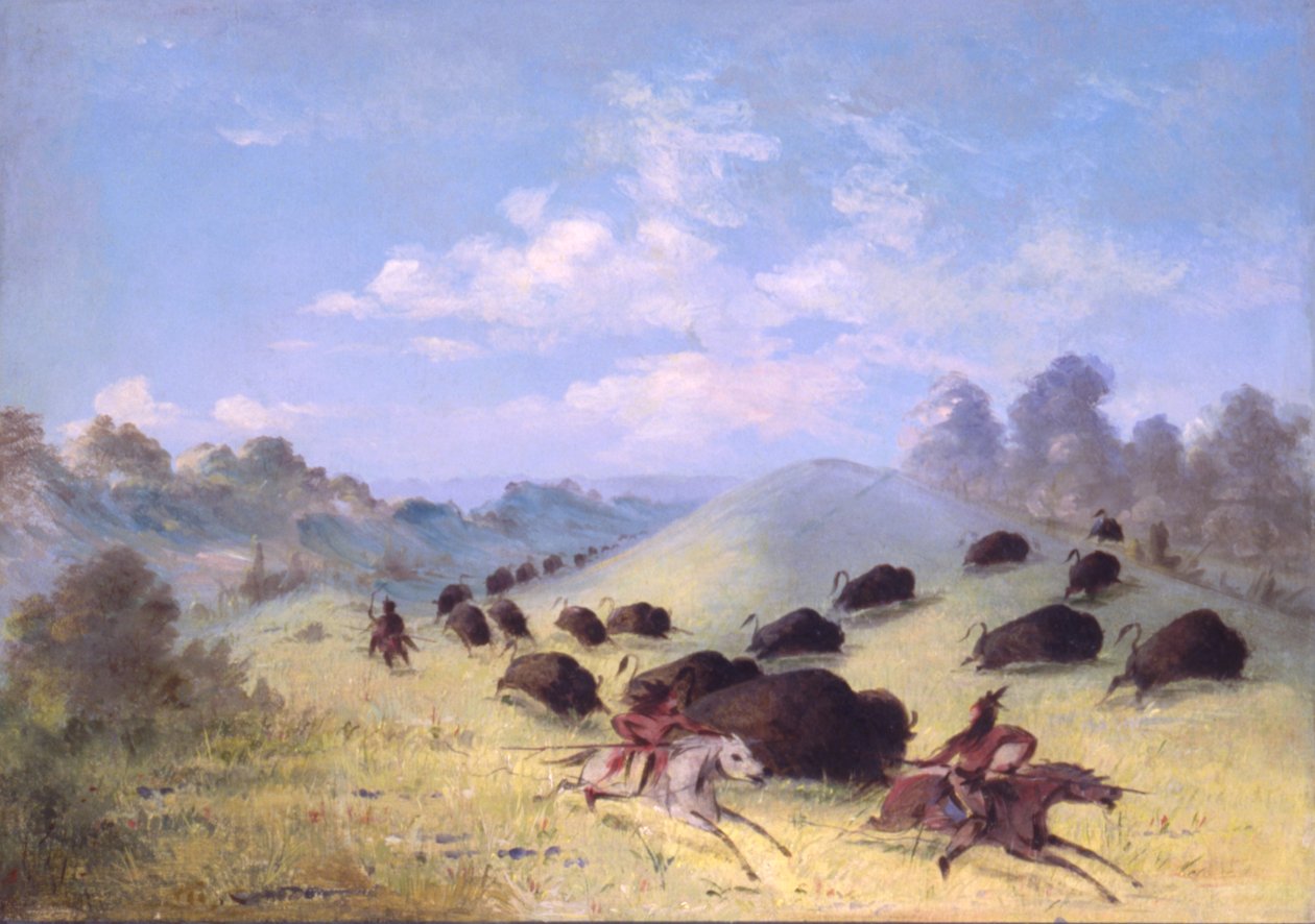  av George Catlin
