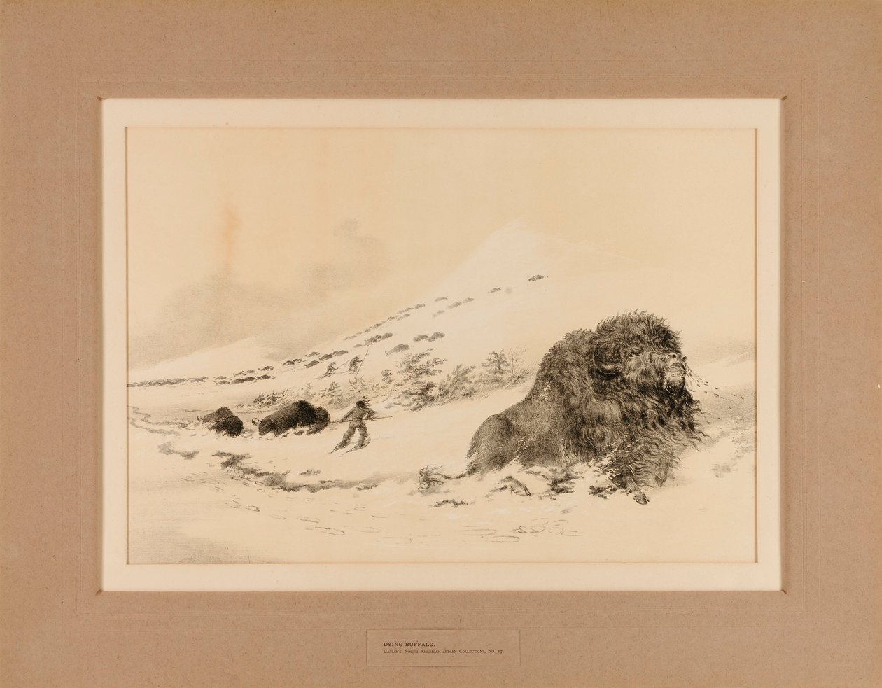  av George Catlin