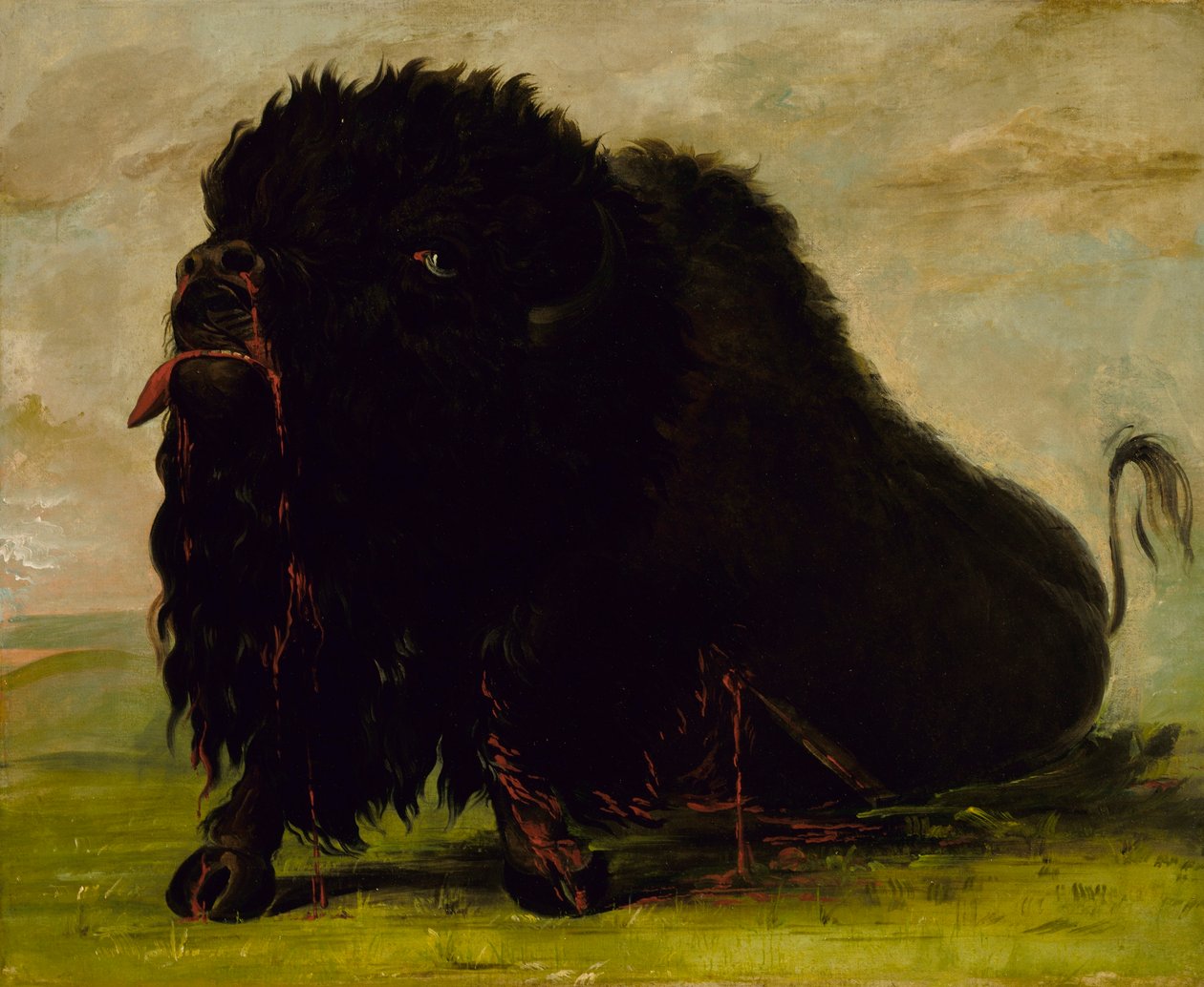  av George Catlin