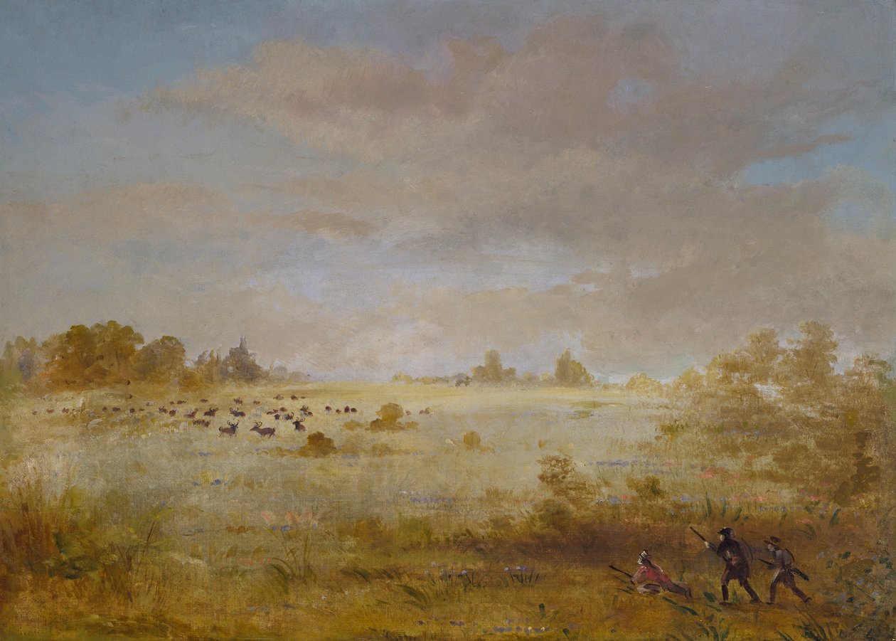  av George Catlin