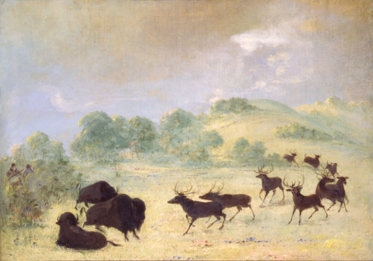 av George Catlin