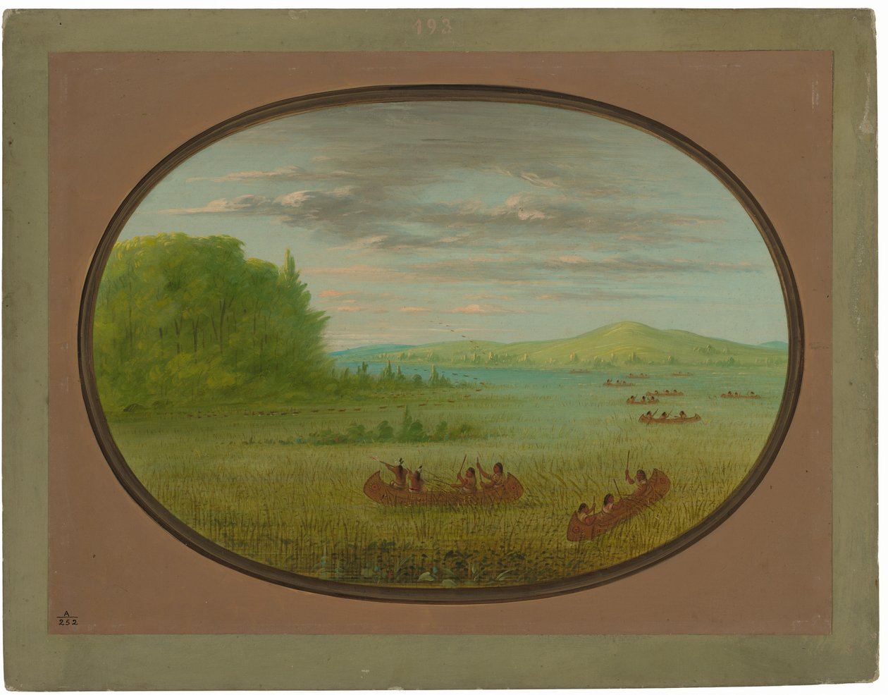 Innsamling av villris - Winnebago av George Catlin