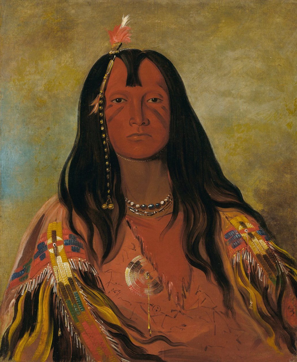  av George Catlin