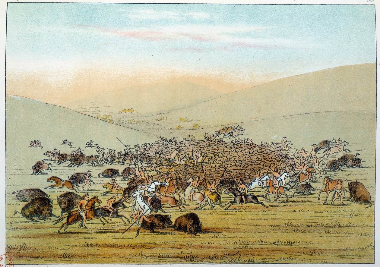 Indians of America: Indiske miniater som jakter bøffel med spyd. Illustrasjon av George Catlin (1794-1872) av George Catlin
