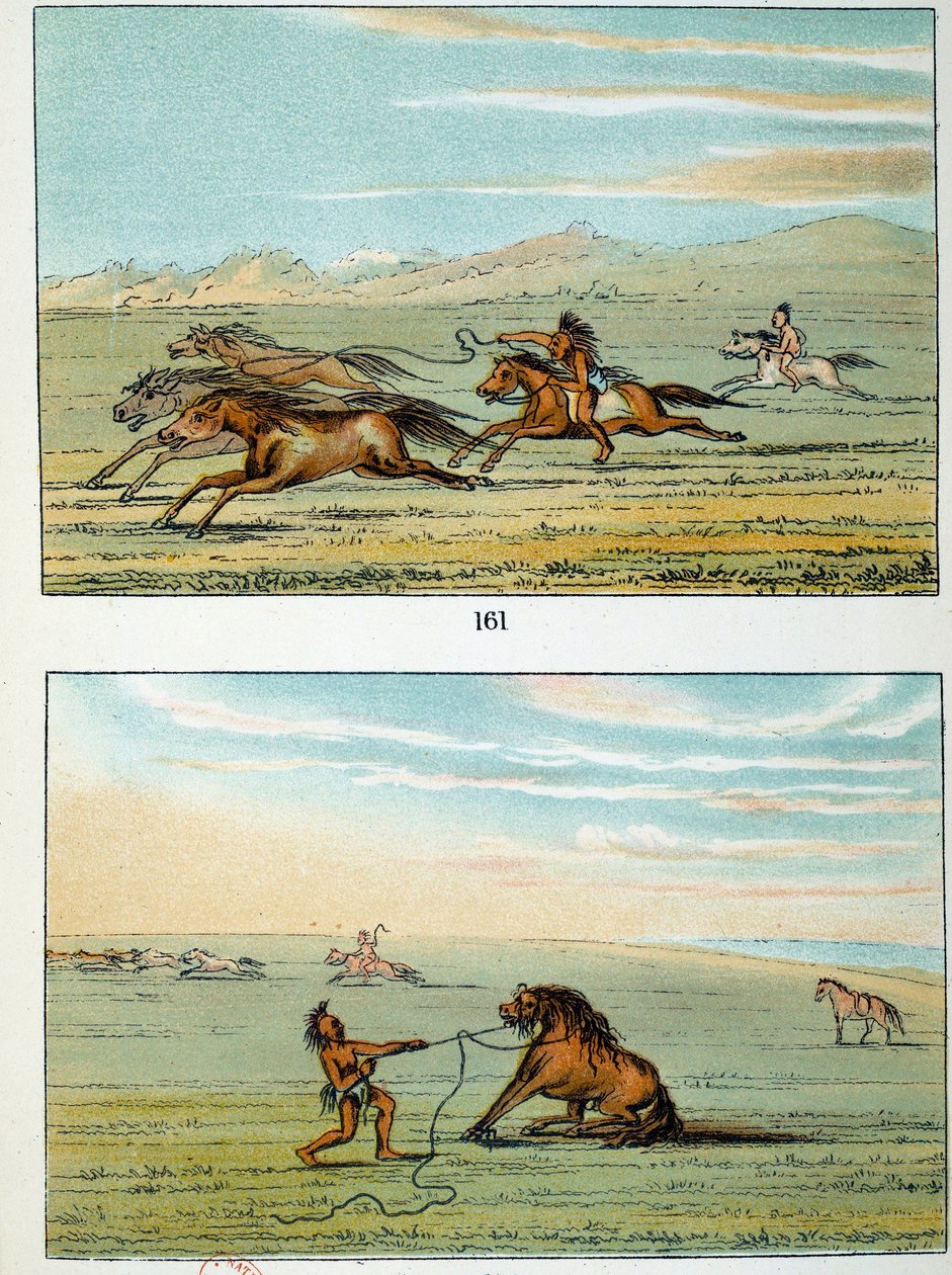 Indians of America: hvordan fange ville hester. Illustrasjon av George Catlin (1794-1872) av George Catlin