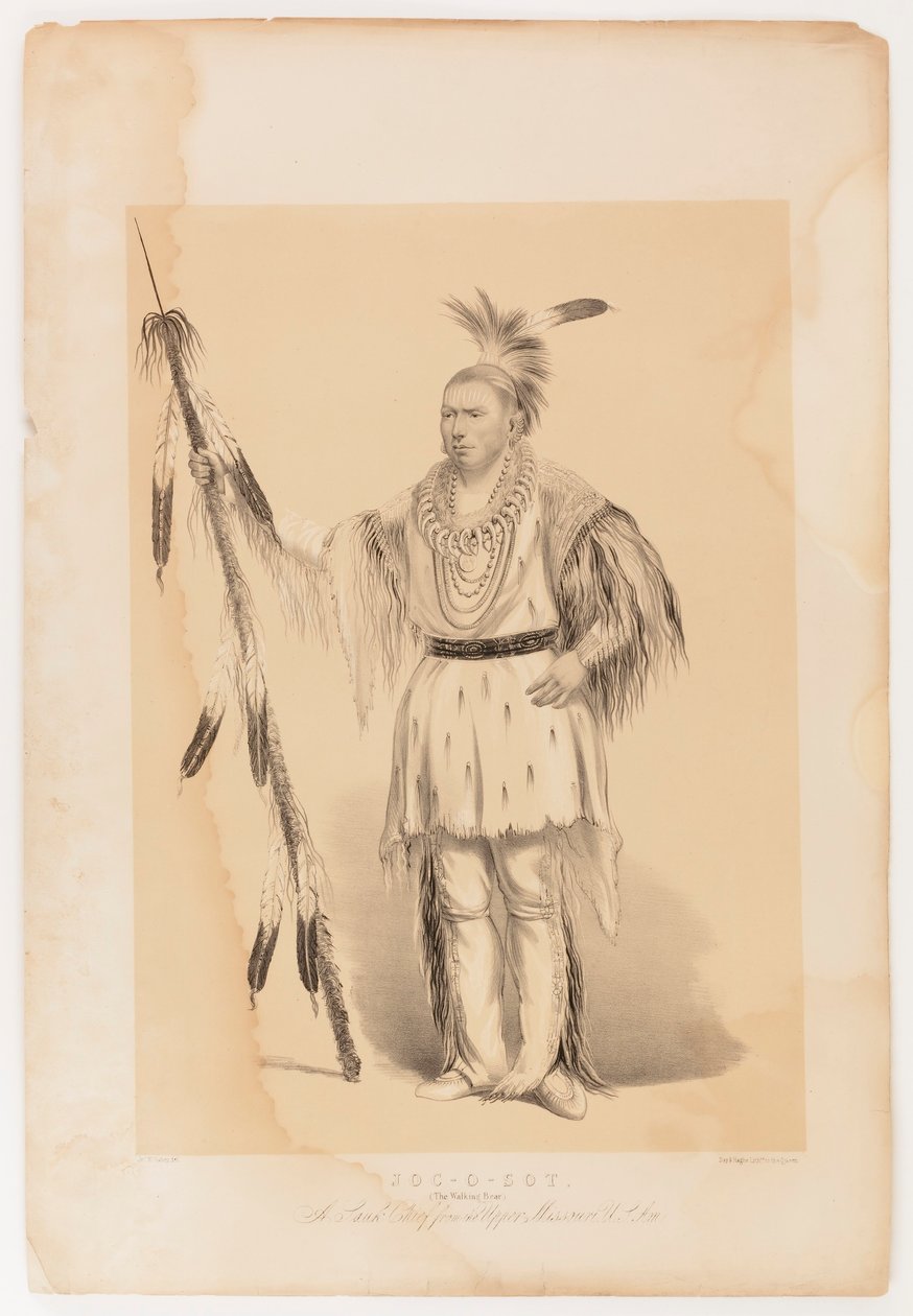 Joc-o-sot, den vandrende bjørnen av George Catlin
