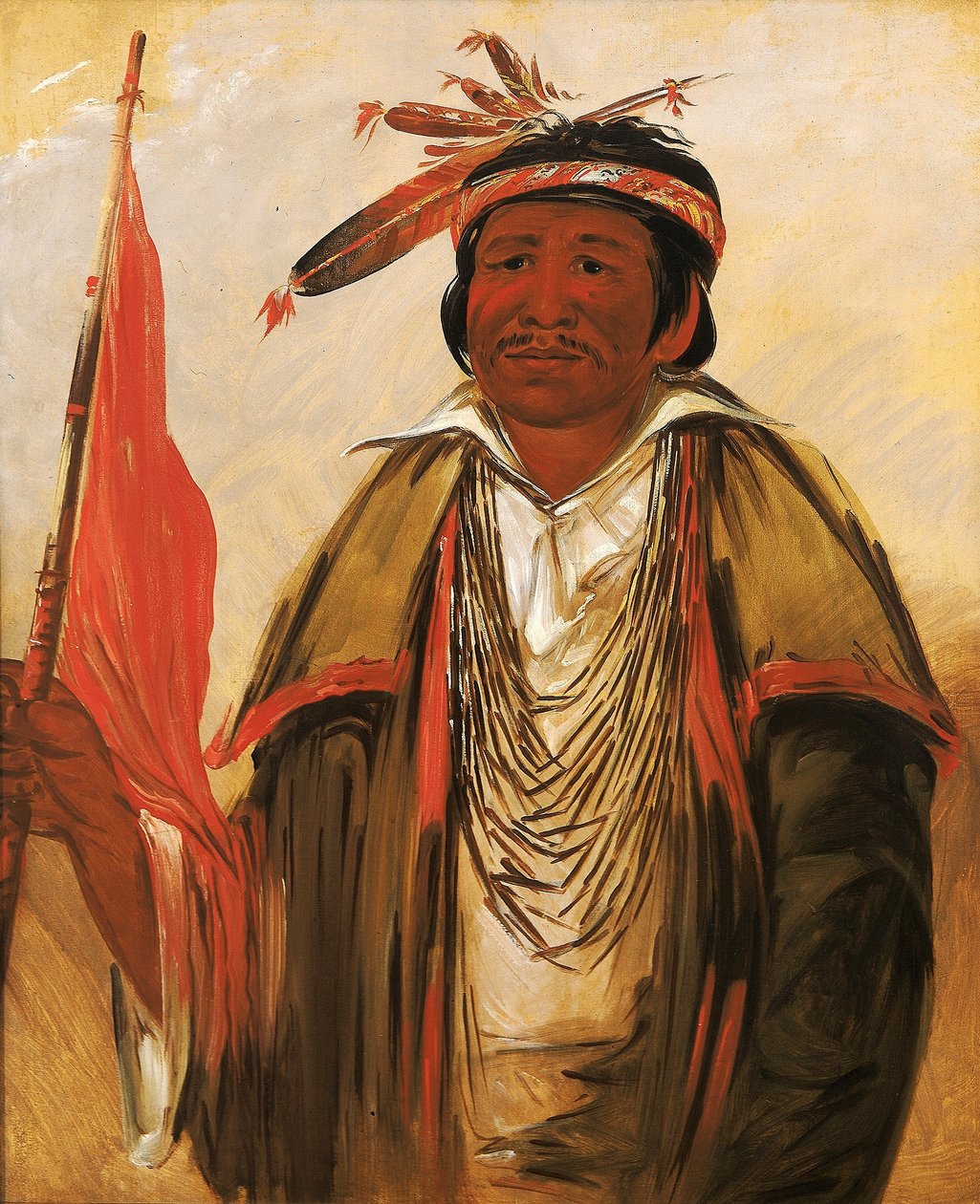 Storbjørn av George Catlin