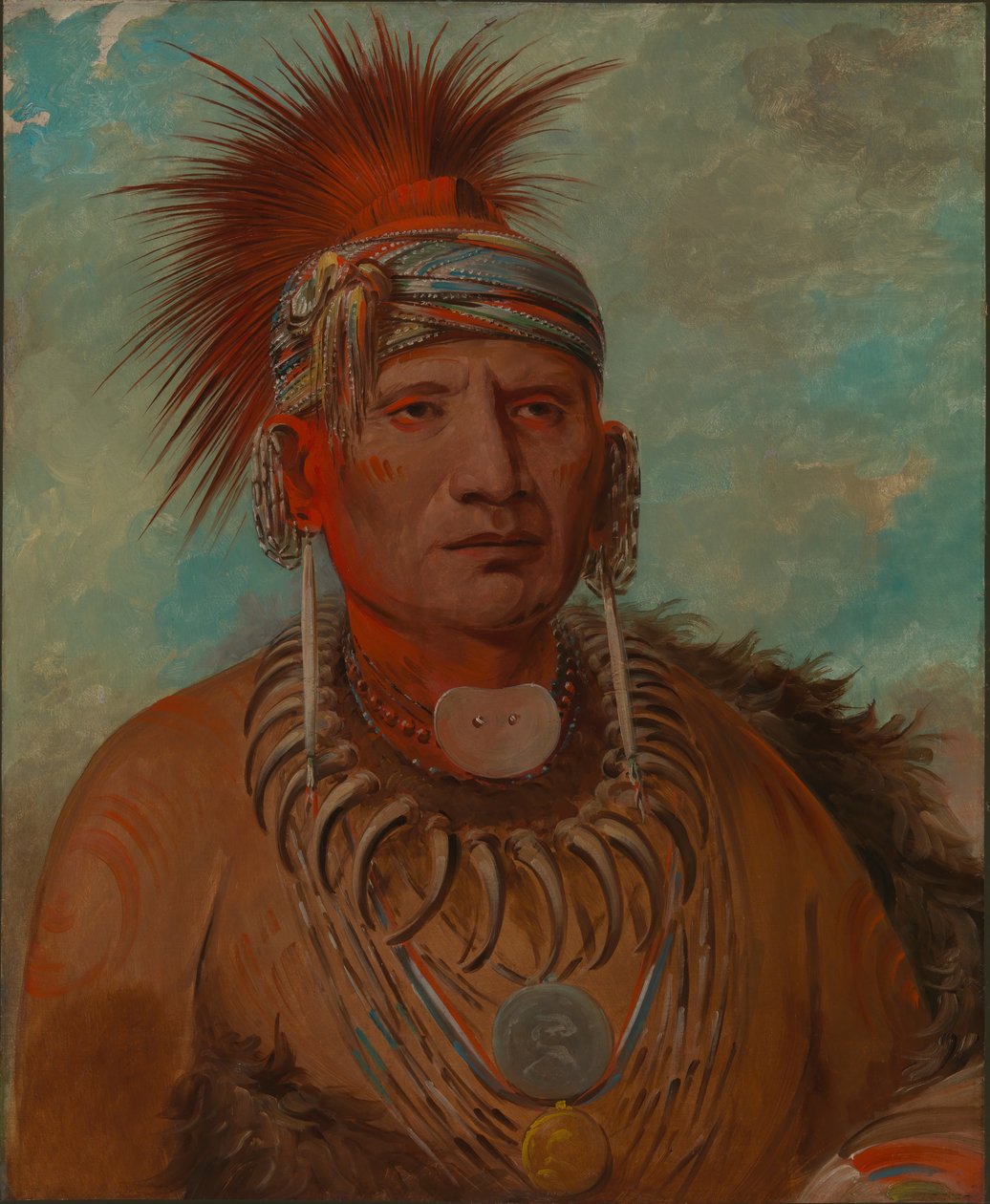  av George Catlin