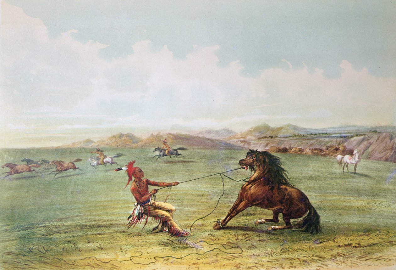 Osagejegere som fanger ville hester (farge litho) av George Catlin