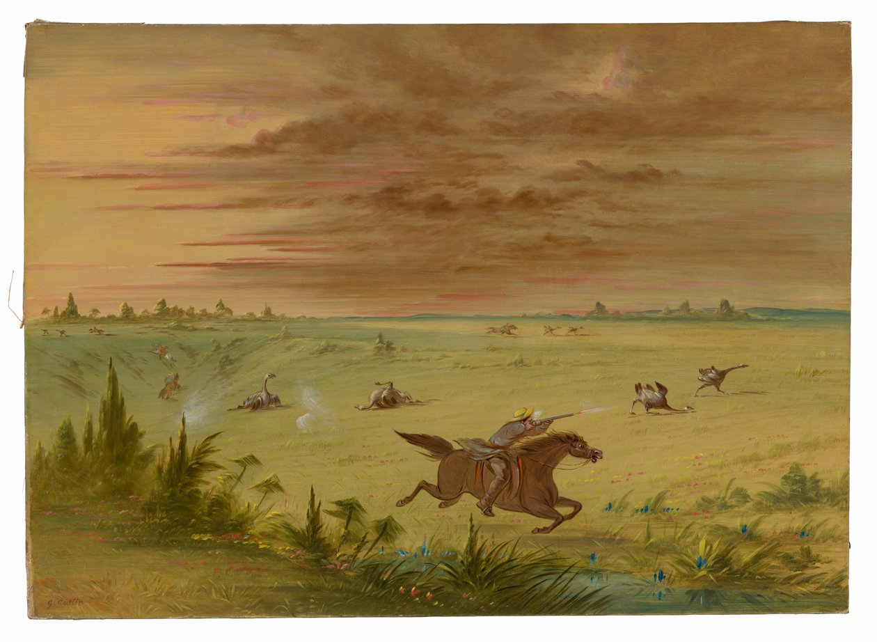 Strutsjakt, Buenos Aires - Auca av George Catlin