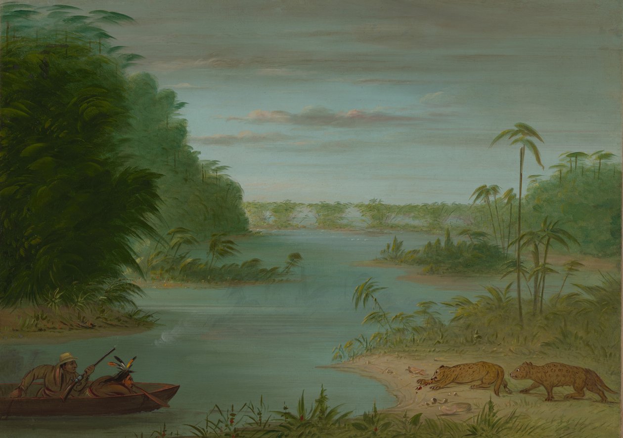 Pont de Palmiers og tigerskyting, 18541869. av George Catlin