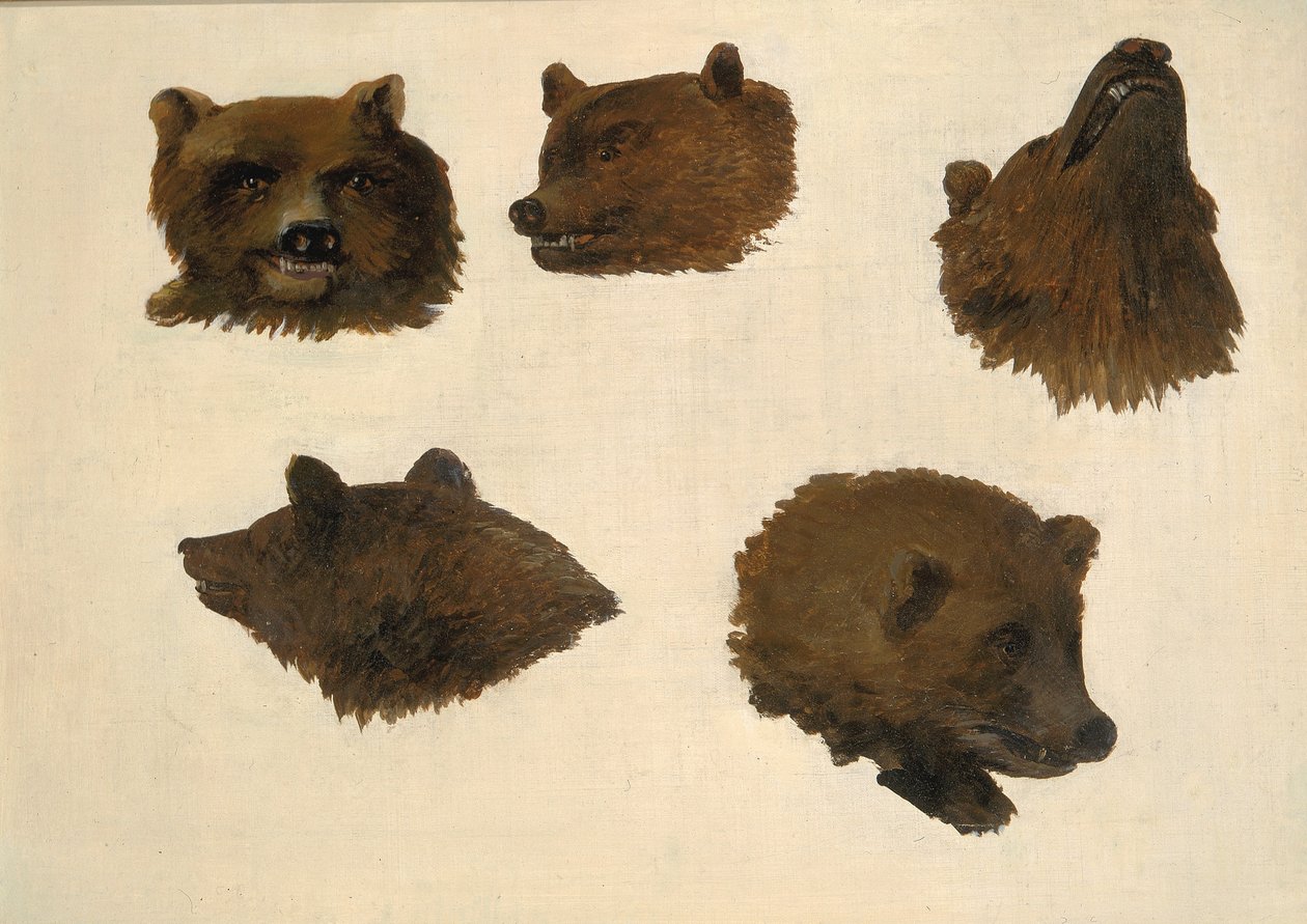  av George Catlin