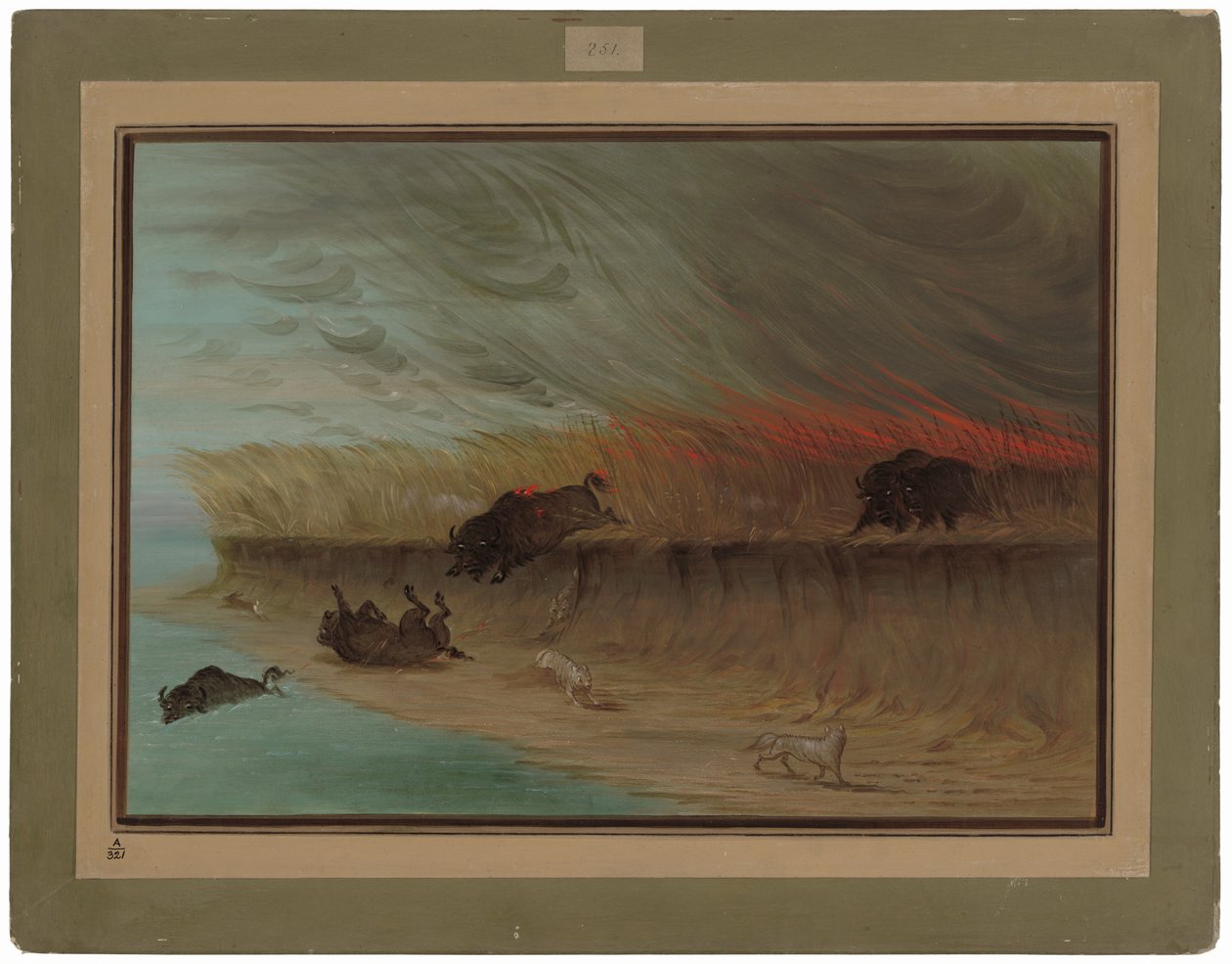 Prairie Meadows brenner av George Catlin