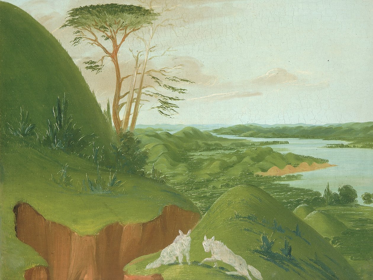 Elvebrinker med hvite ulver i forgrunnen, øvre Missouri av George Catlin
