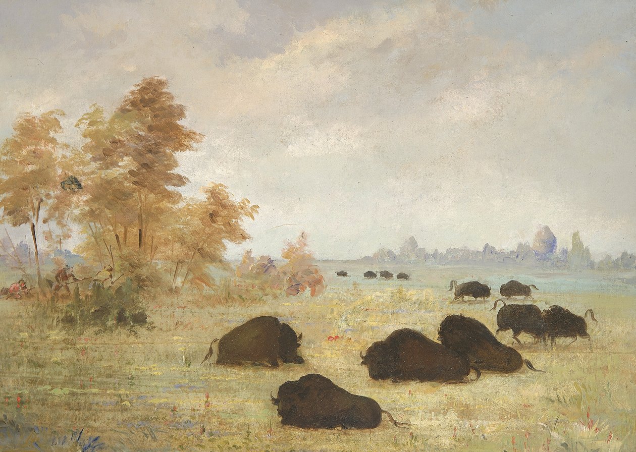  av George Catlin