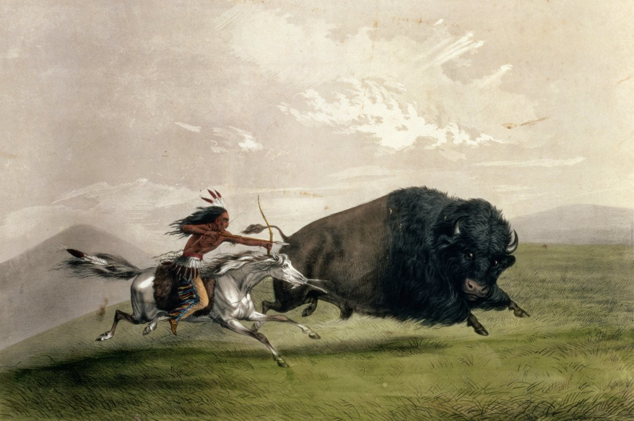 The Buffalo Chase "Singling Out", pub. av Currier og Ives av George Catlin