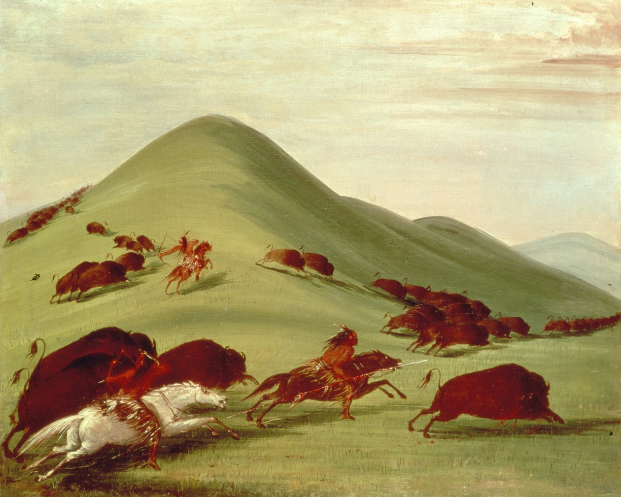 Bøffeljakten av George Catlin