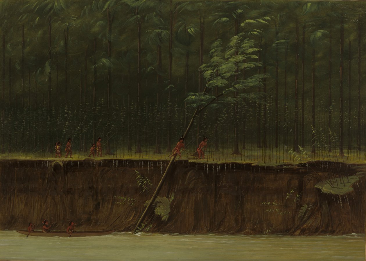 Utsikt over Nedre Mississippi, 18611869. av George Catlin