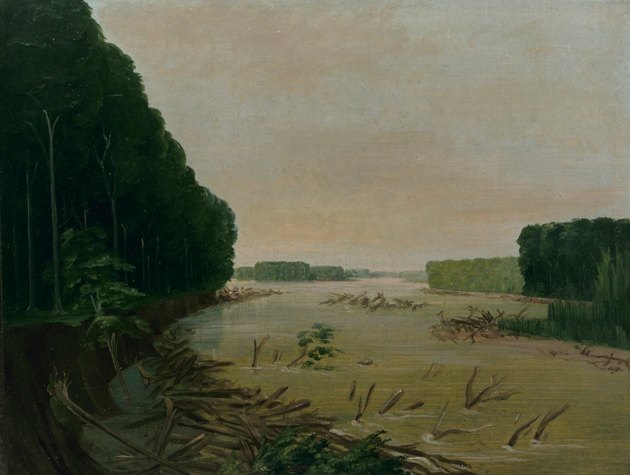  av George Catlin