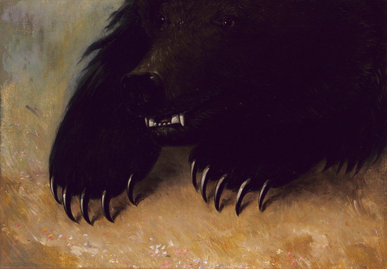 av George Catlin