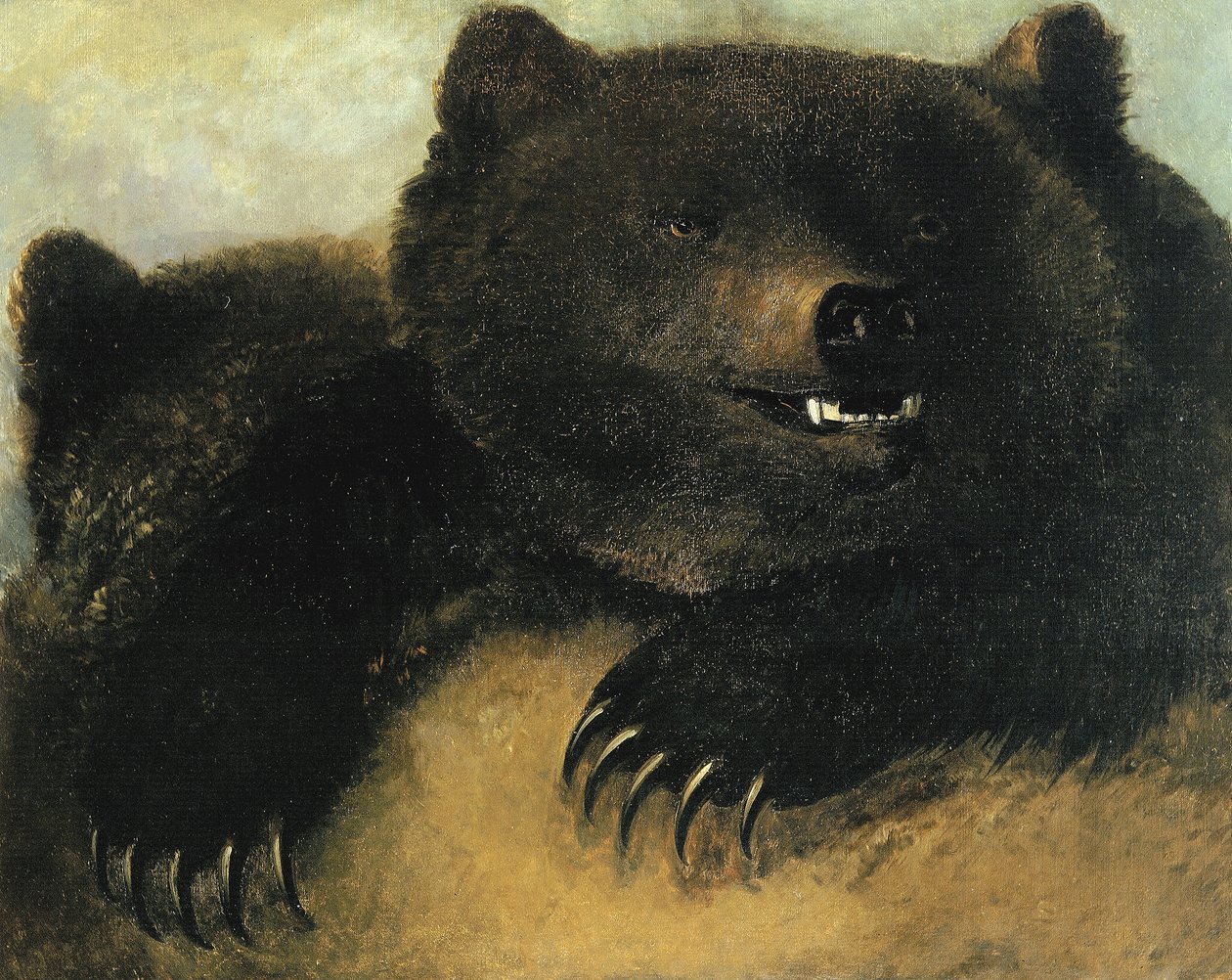  av George Catlin