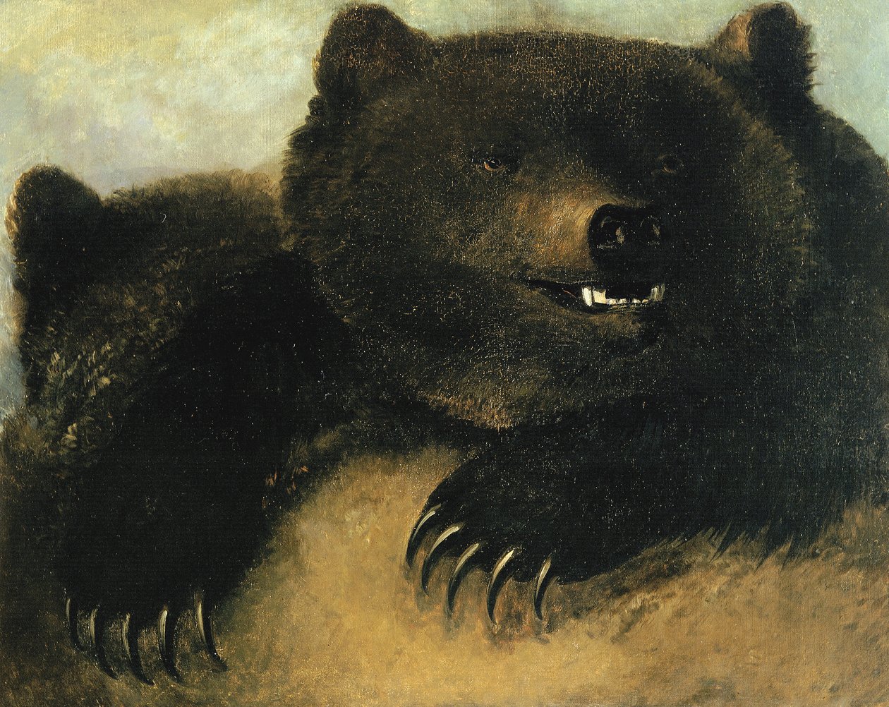 Grizzlybjørnens våpen og fysiognomi, 1846-1848. av George Catlin