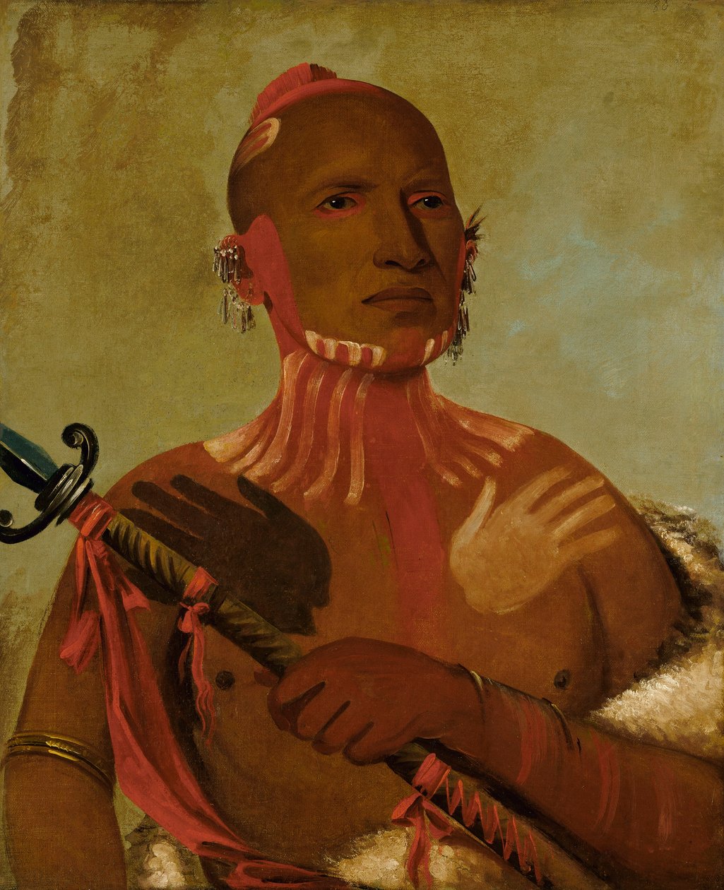 Hjulsjikt, størhode og revekriger av George Catlin