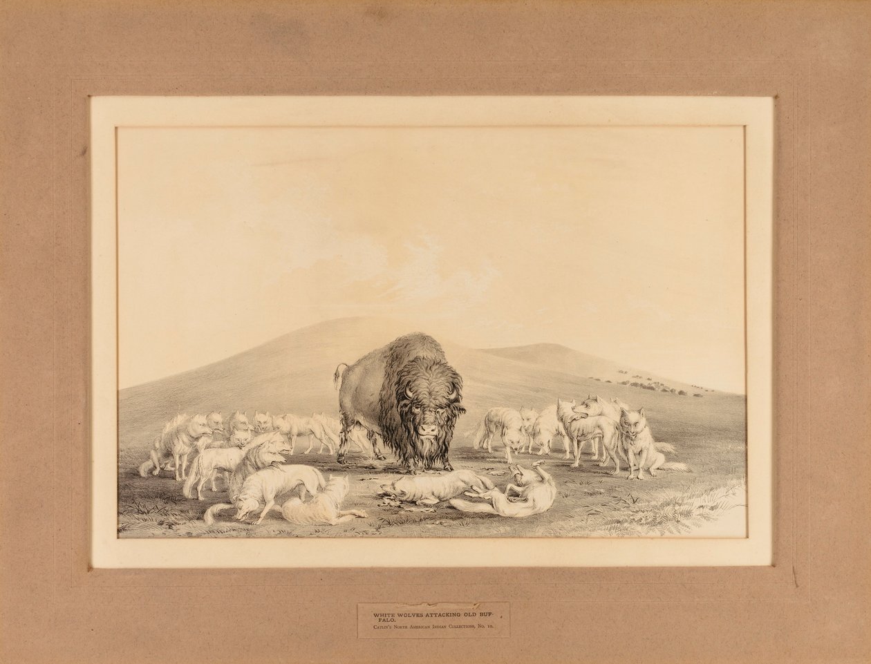  av George Catlin