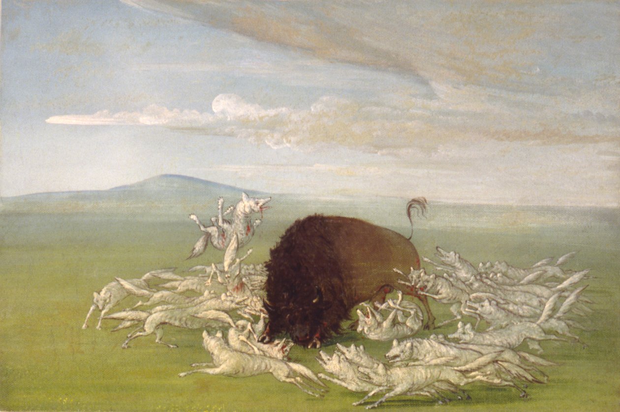  av George Catlin