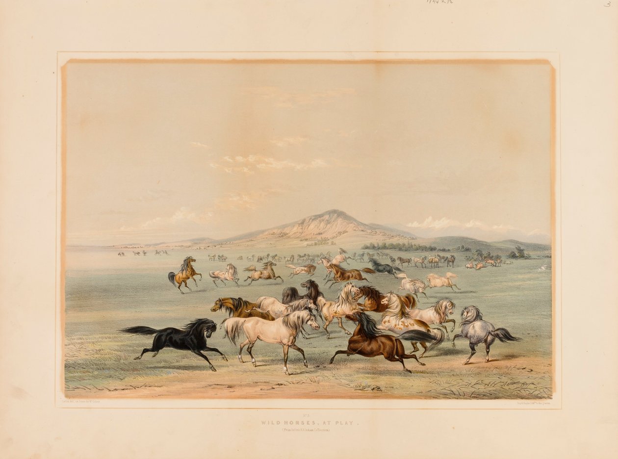  av George Catlin