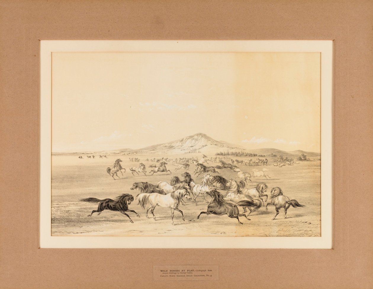 Ville hester på lek – nr. 3 av George Catlin