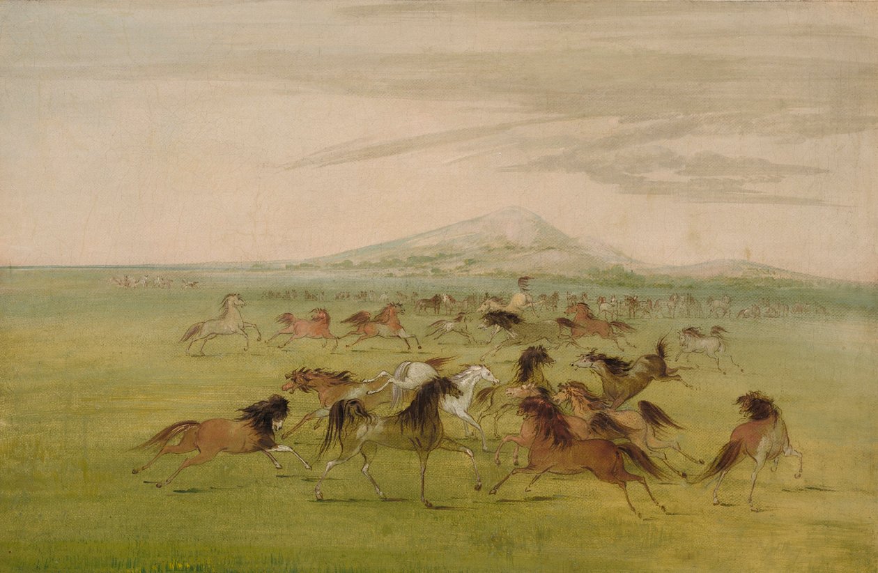  av George Catlin