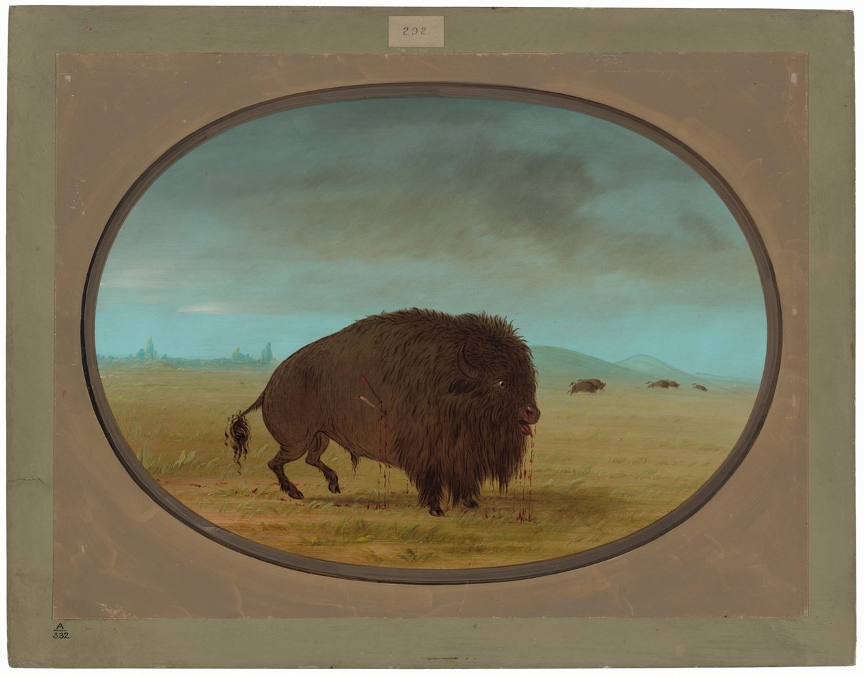 Såret Buffalo Bull av George Catlin