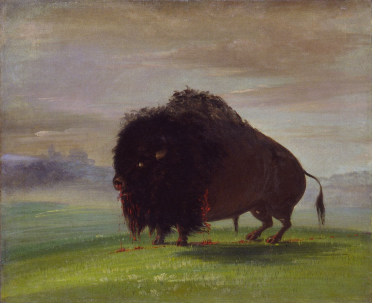  av George Catlin