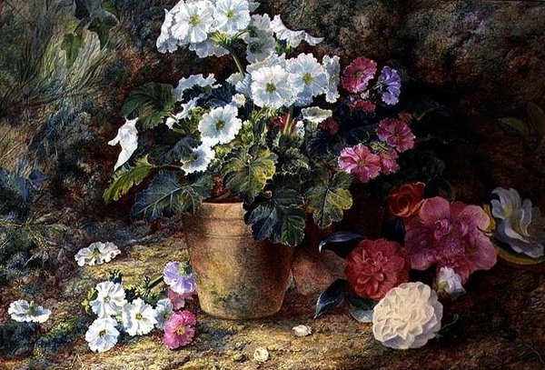 Et stilleben av pelargonier i en gryte med kameliaer av George Clare