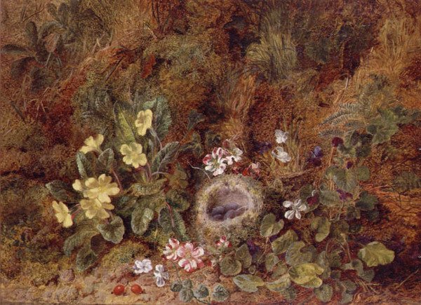 Stilleben med fuglerede og ville blomster av George Clare