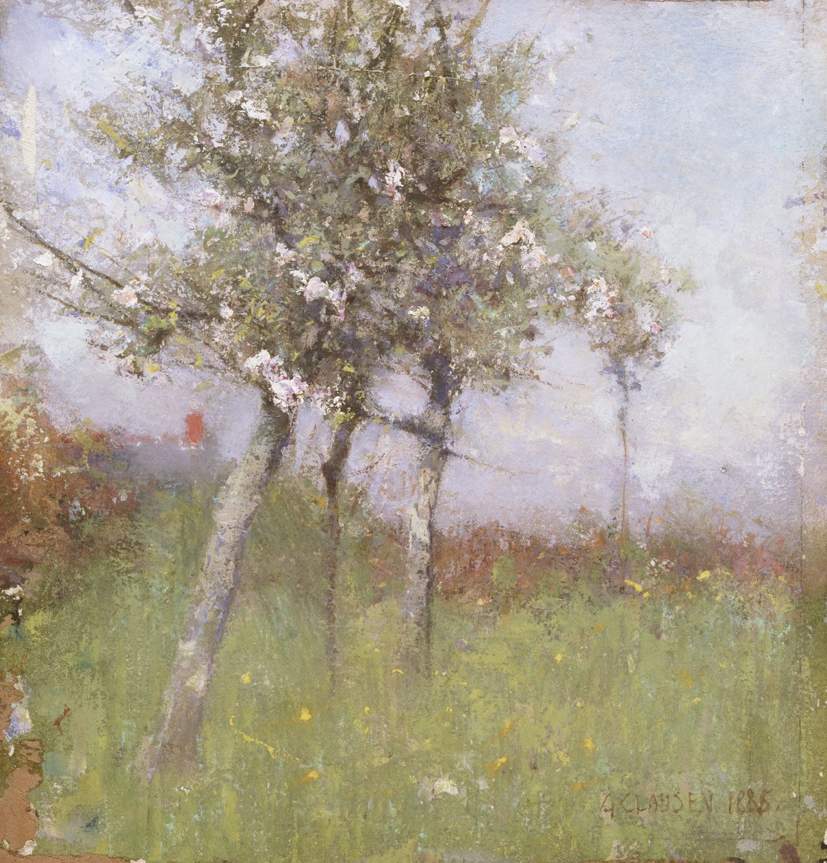 Epleblomst av George Clausen