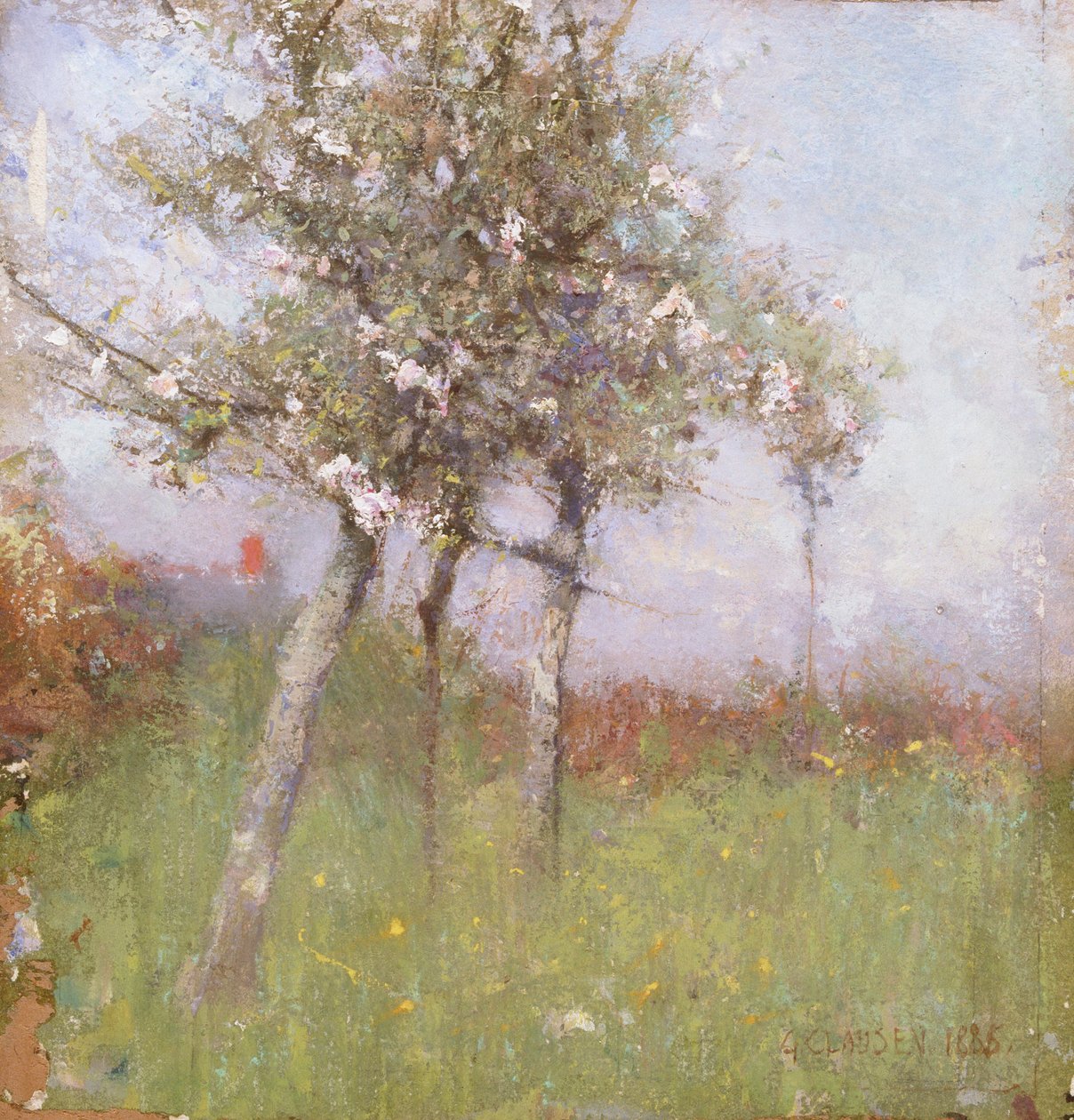 Epleblomst, 1885. av George Clausen