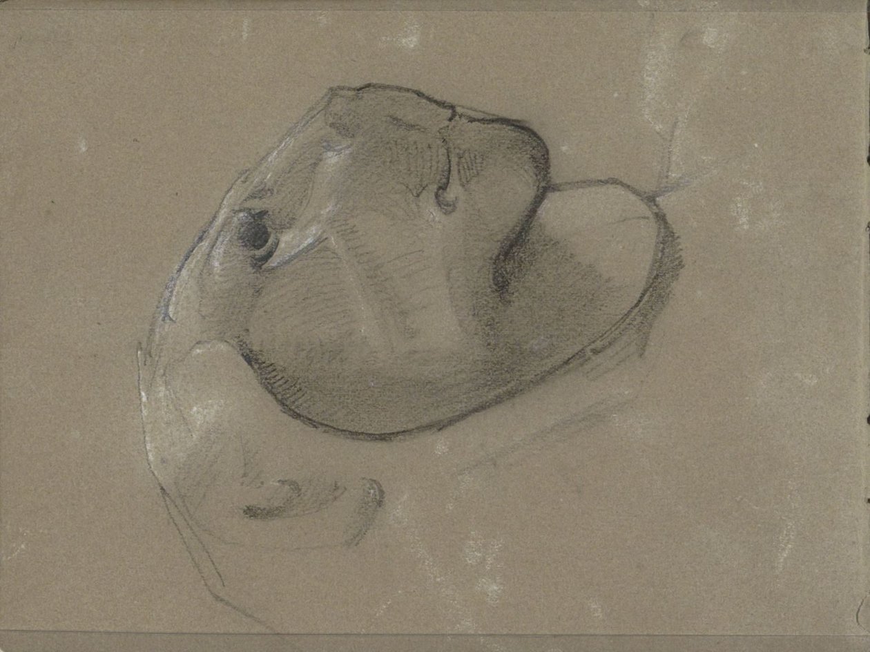Løvehode, antagelig etter en skulptur av George Clausen