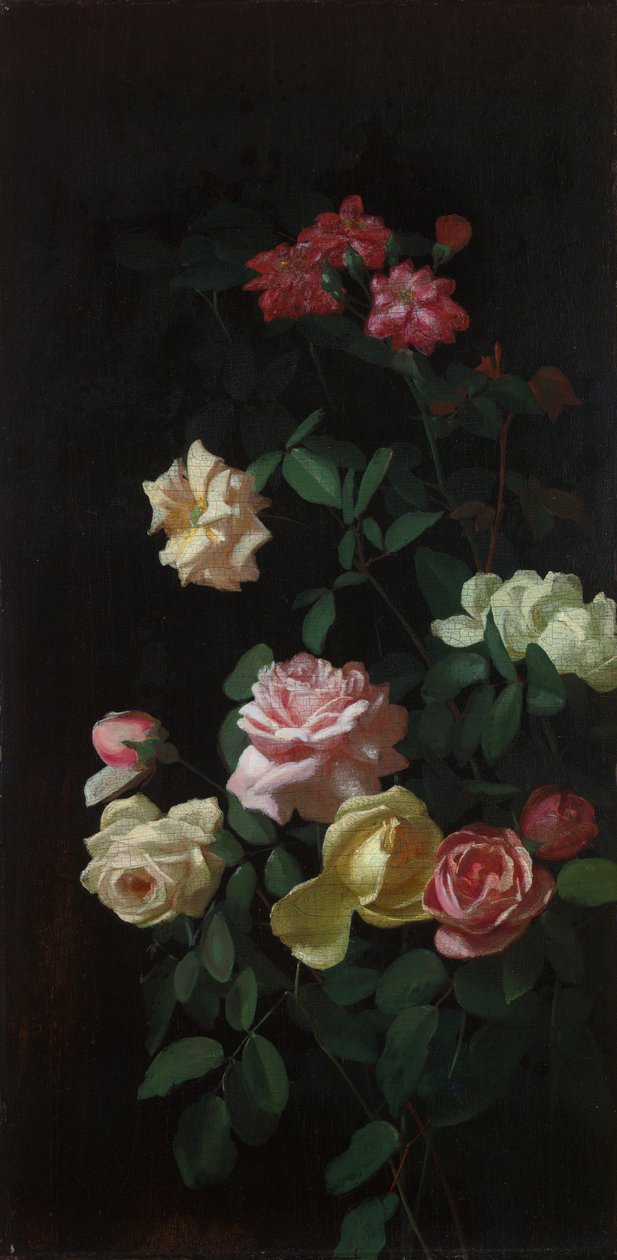 Roser av George Cochran Lambdin