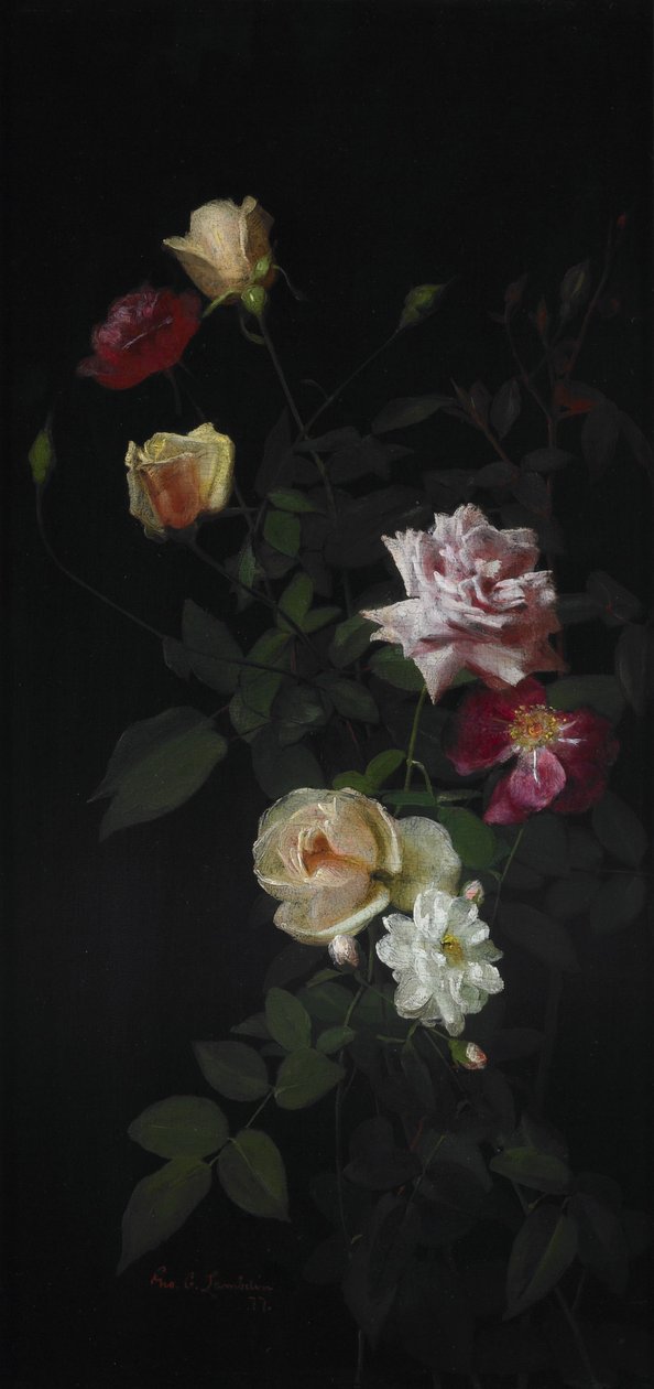 av George Cochran Lambdin
