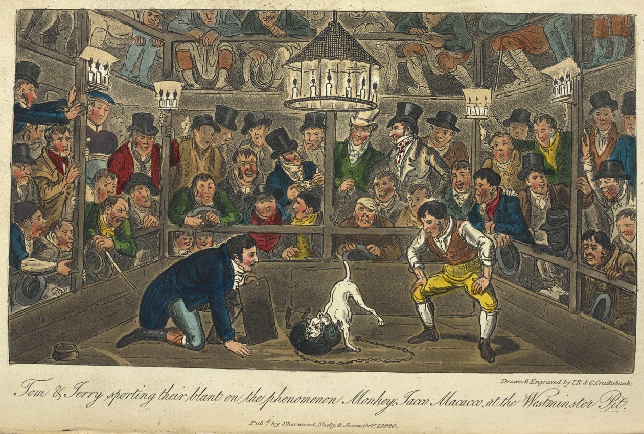 "Tom og Jerry praktiserer fenomenet Monkey,Jacco,Maccaco, ved Westminster pit." Hundekamp, 