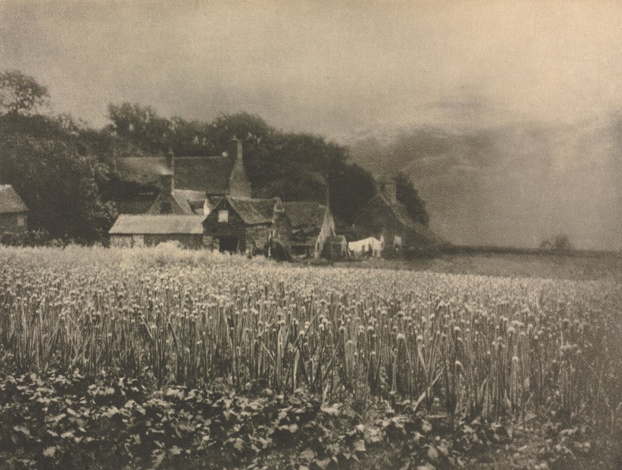 Kameraarbeid: Løkmarken - 1890 av George Davison