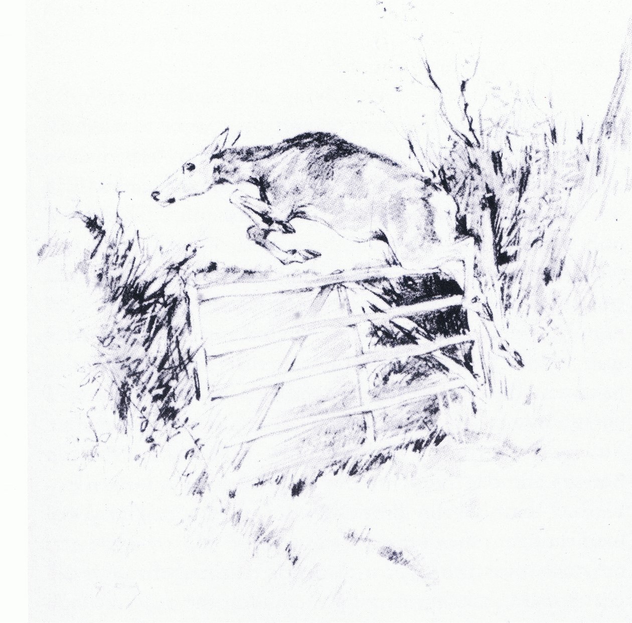Som en pil fra en bue (litho) av George Denholm Armour