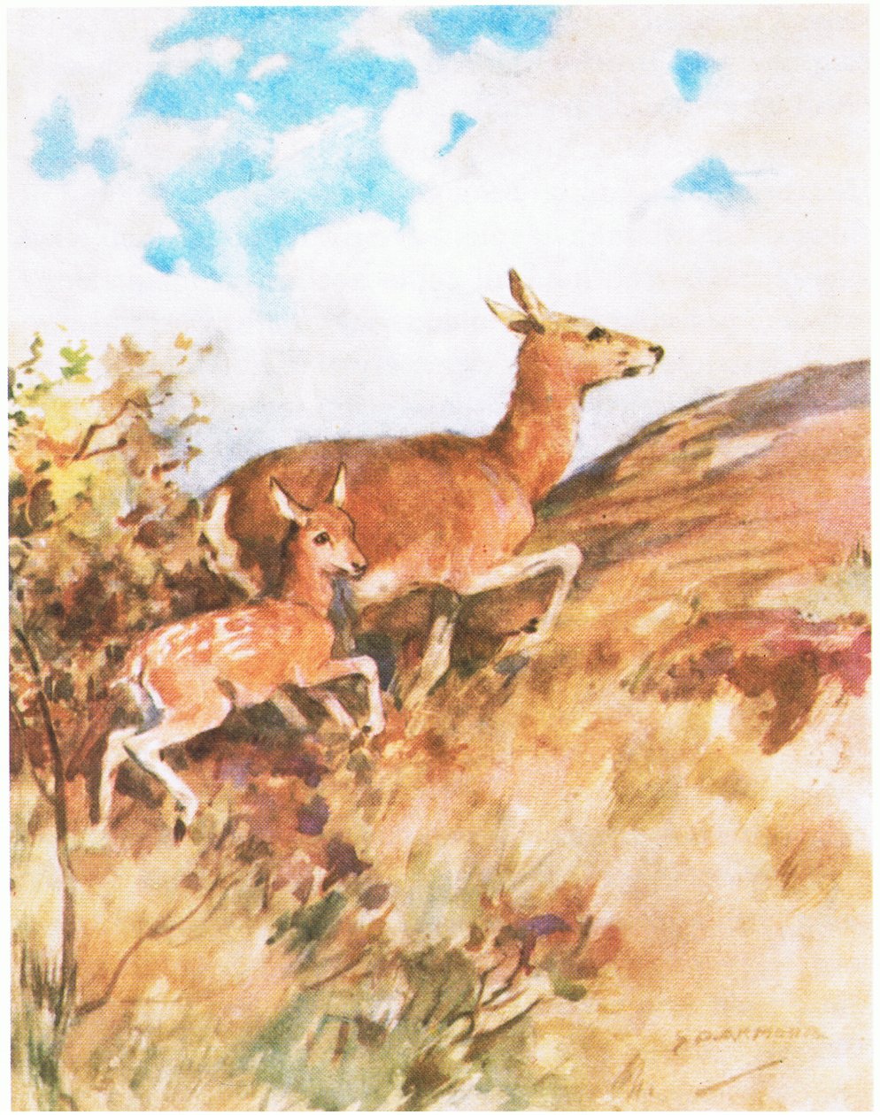 Tawny snudde seg og flyktet og oppfordret Rusty til å følge henne (farge litho) av George Denholm Armour
