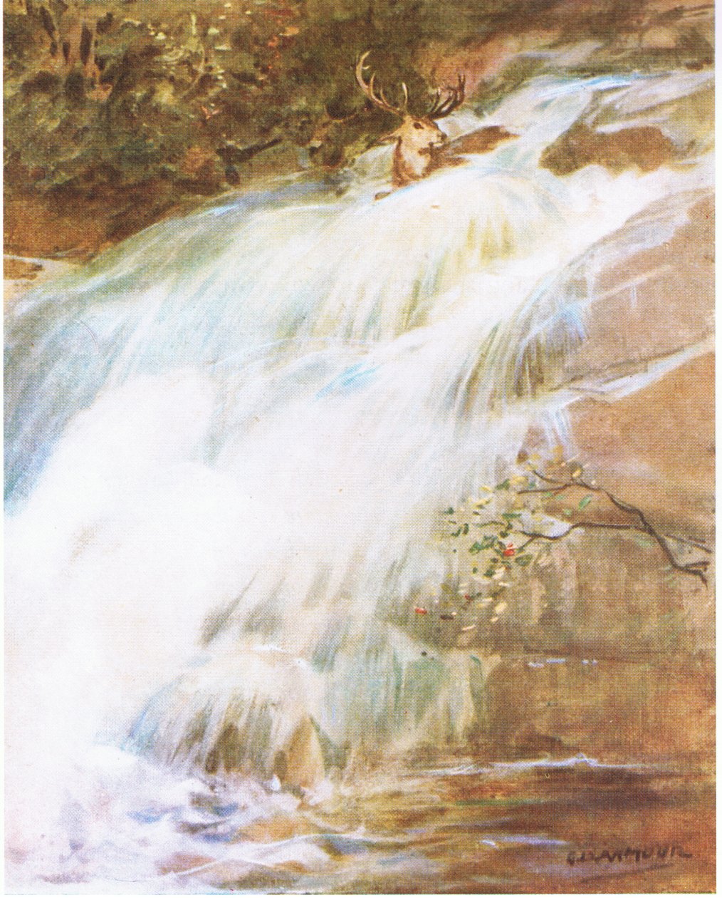 Han kastet hodet høyt i luften i en siste trass, stupte ned i fossen (farge litho) av George Denholm Armour